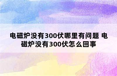 电磁炉没有300伏哪里有问题 电磁炉没有300伏怎么回事